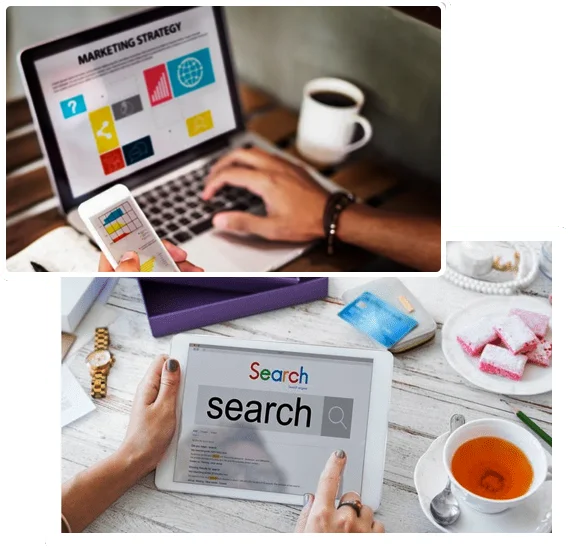 Professional Seo Services